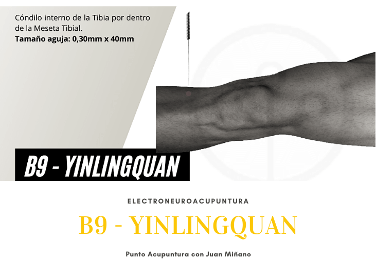b9-yinlingquan-nervio-safeno